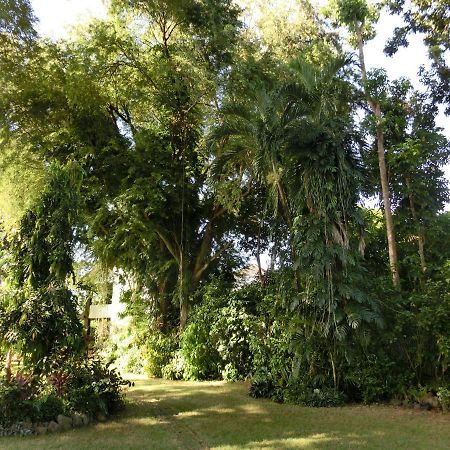 Balay Tuko Garden Inn Puerto Princesa Esterno foto