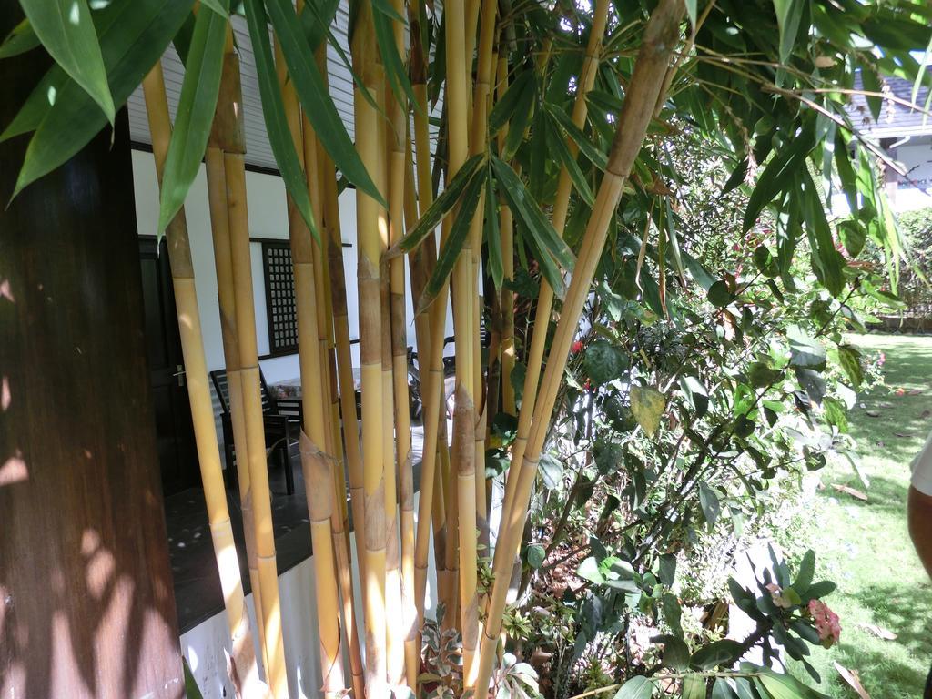 Balay Tuko Garden Inn Puerto Princesa Esterno foto