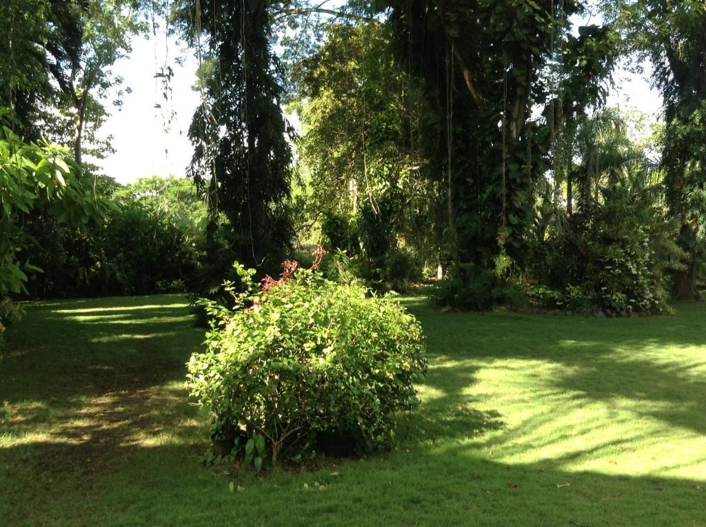 Balay Tuko Garden Inn Puerto Princesa Esterno foto