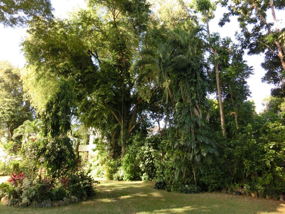 Balay Tuko Garden Inn Puerto Princesa Esterno foto